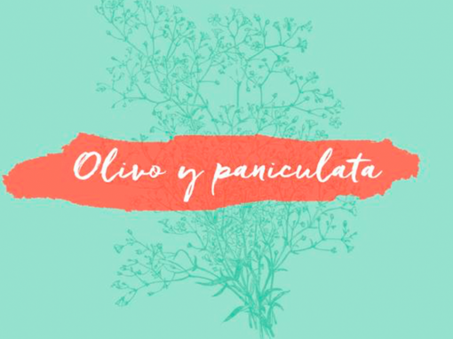 Olivo y Paniculata